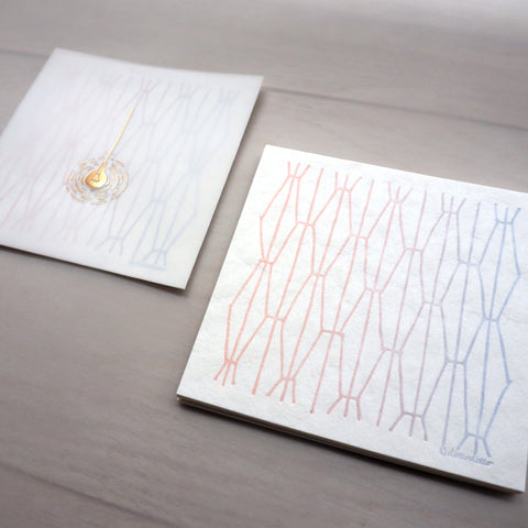 square notecard set with translucent cover - light (set of 6)